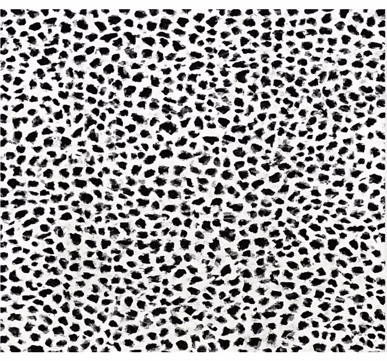 Store enrouleur noir imprimé léopard monochrome - TenStickers