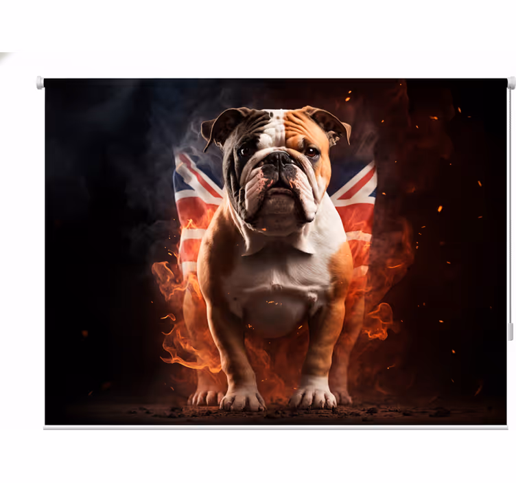 Store enrouleur chambre ado bulldog anglais en feu - TenStickers