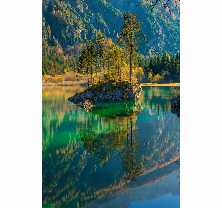 Arbre réfléchi nature store - TenStickers