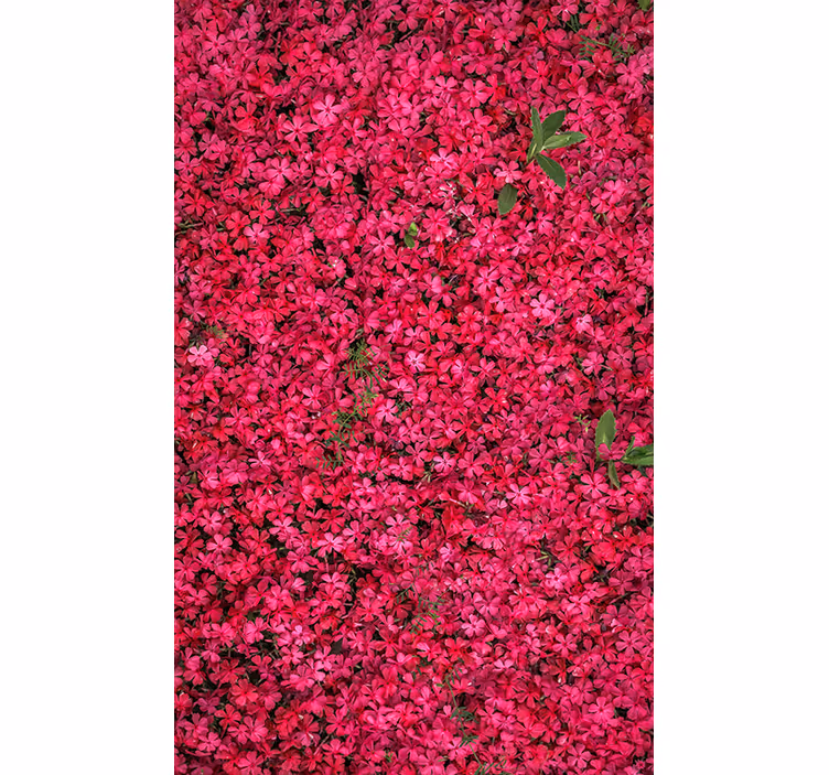 Store enrouleur fleurs et plantes abondance vibrante - TenStickers