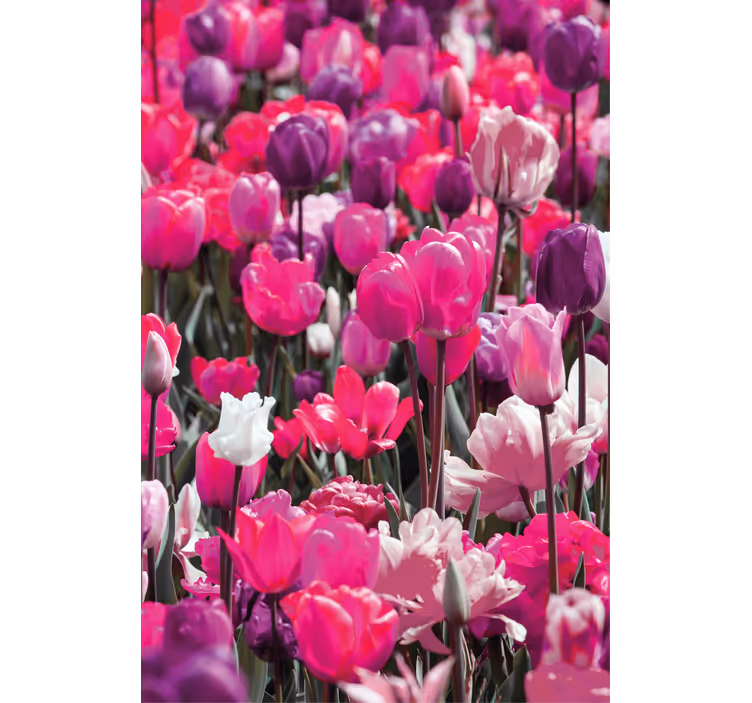 Store enrouleur fleurs et plantes tulipes violettes - TenStickers