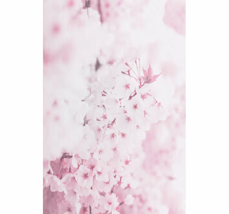 Store enrouleur fleurs et plantes fleurs roses délicates - TenStickers