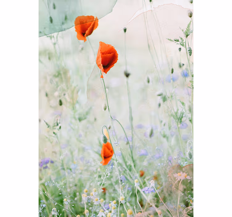 Stores fleurs Coquelicots rouges tachés - TenStickers