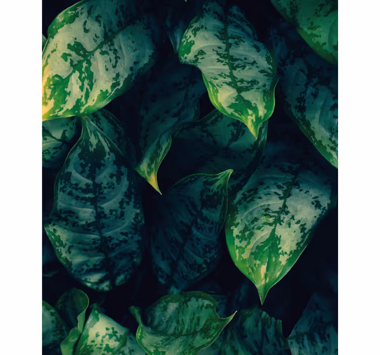 Store enrouleur fleurs et plantes feuilles vertes vibrantes - TenStickers