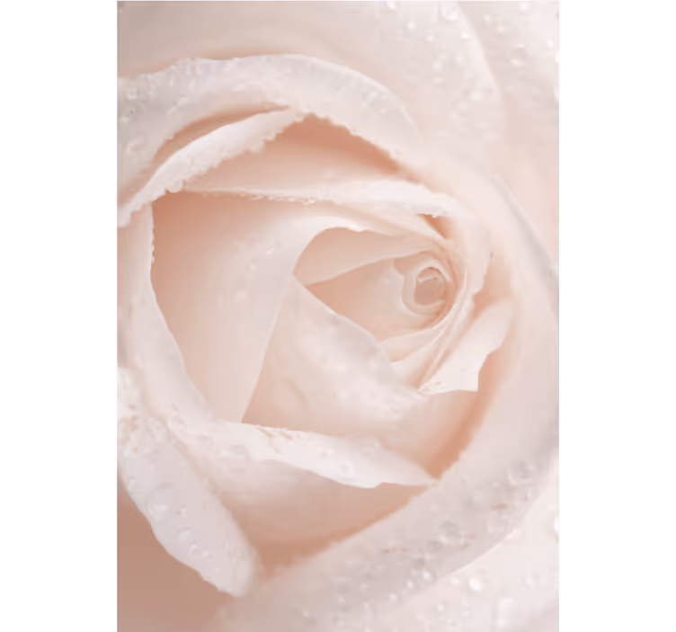 Store enrouleur fleur pétale de rose délicat - TenStickers