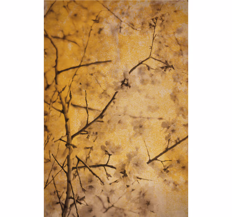 Stores fleurs Fleur de cerisier en jaune - TenStickers