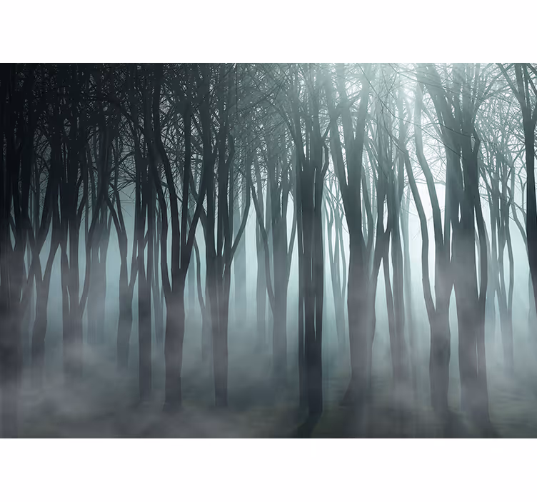 Store enrouleur arbre silhouette de forêt brumeuse - TenStickers