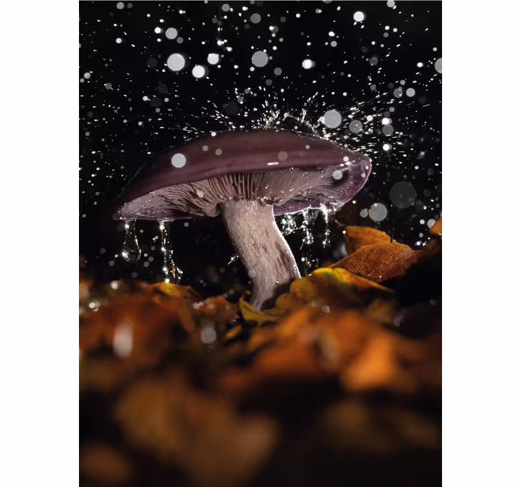 Store enrouleur autres champignon avec éclaboussure - TenStickers