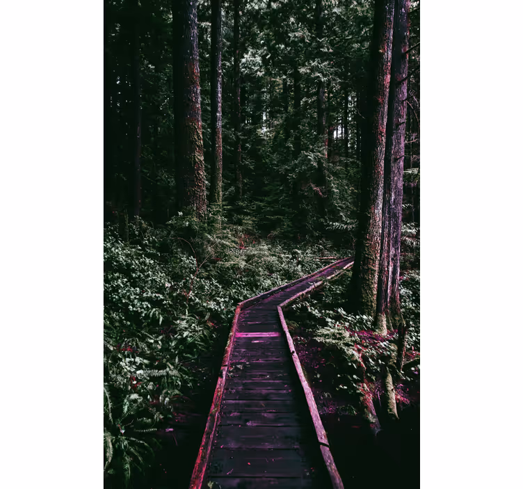 Store enrouleur arbre sentier forestier - TenStickers