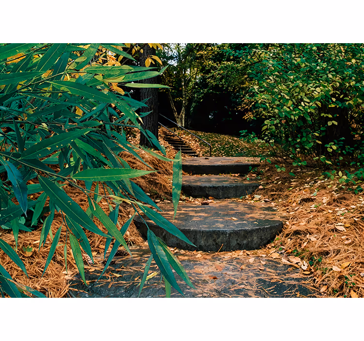 Store enrouleur paysage chemin dans la forêt - TenStickers