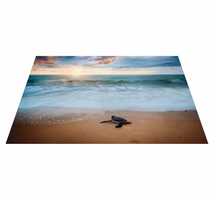 Set de table maison tortue sur la plage - TenStickers