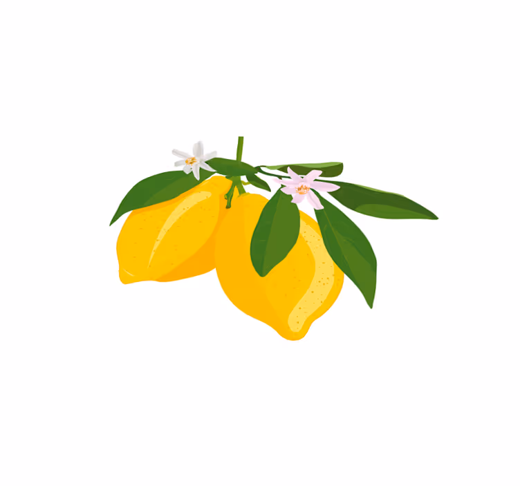 Set de table original illustration branche de citron - TenStickers