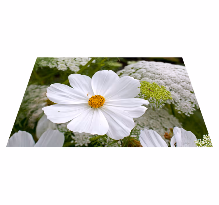 Set de table original fleur blanche Élégante - TenStickers