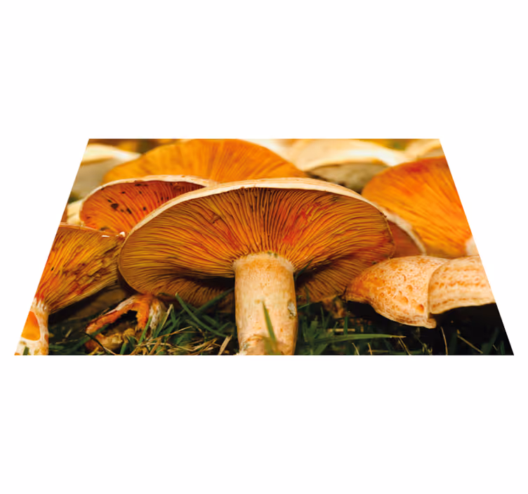 Set de table original champignons et ramen - TenStickers