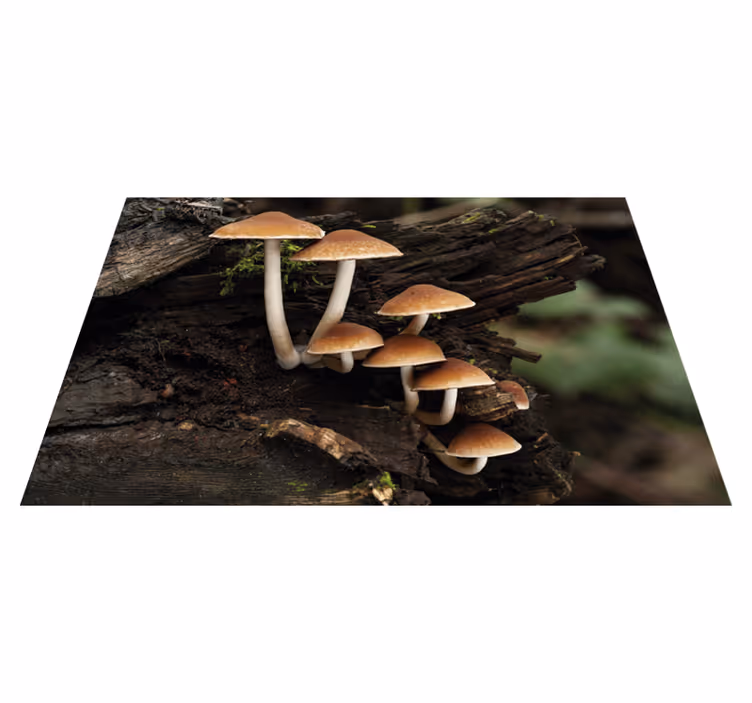 Set de table original portrait de champignons - TenStickers