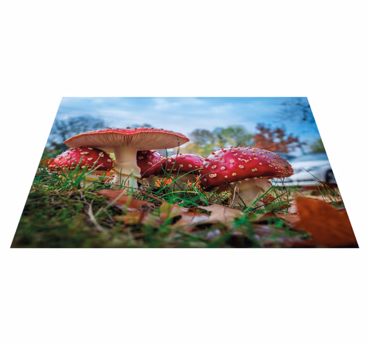 Set de table moderne scène culinaire champignon - TenStickers