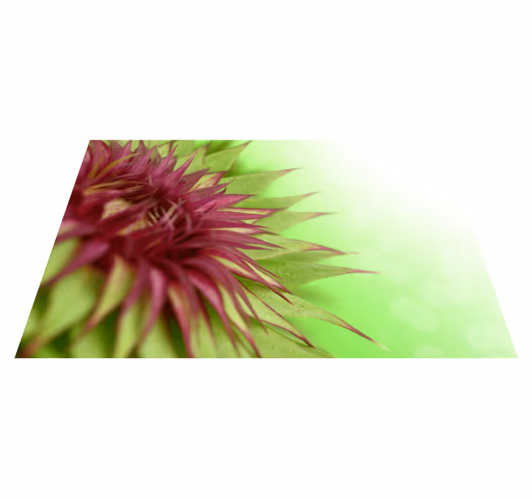 Set de table chardon en couleur - TenStickers