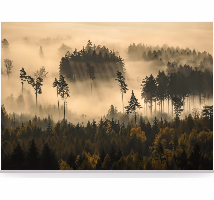 Papier peint forêt brume matinale éthérée - TenStickers
