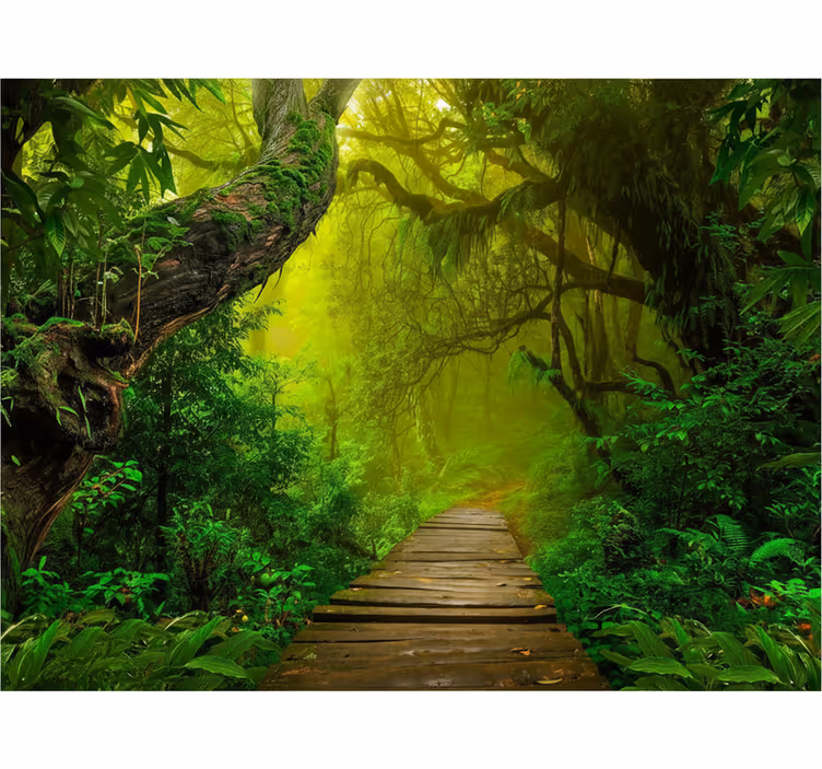 Papier peint forêt chemin mystique en forêt - TenStickers