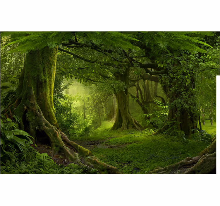 Papier peint forêt Évasion dans la verdure - TenStickers