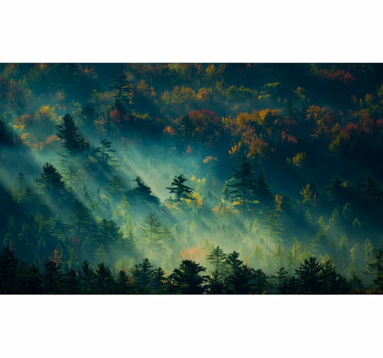Papier peint forêt la forêt mélancolique - TenStickers