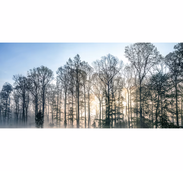 Papier peint forêt prairie brumeuse du matin - TenStickers