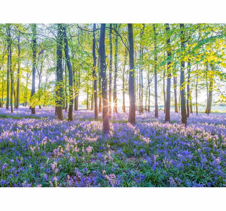 Papier peint forêt modernisme inspiré de la nature - TenStickers