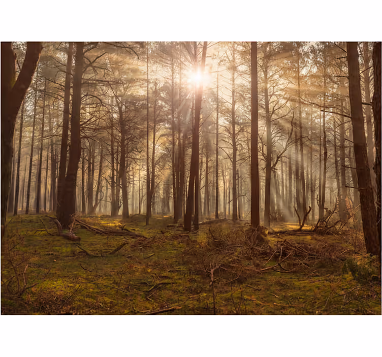 Papier peint forêt salon de la faune dorée - TenStickers