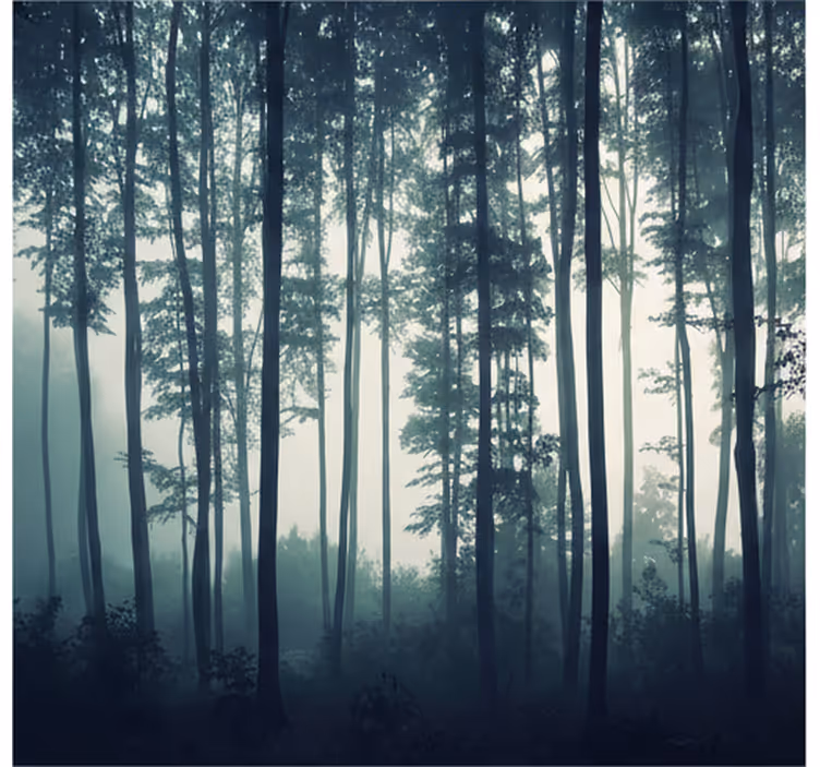 Papier peint forêt zen de la forêt peinte - TenStickers