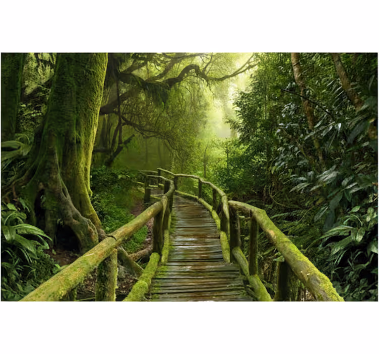 Papier peint forêt allée verdoyante et mousseuse - TenStickers