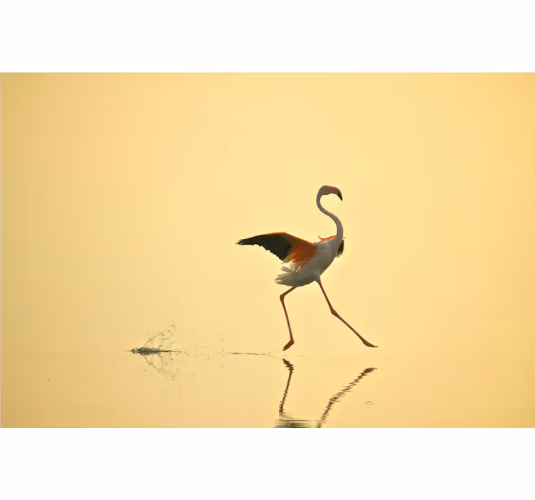 Tapisserie jaune flamants roses amusants en course - TenStickers
