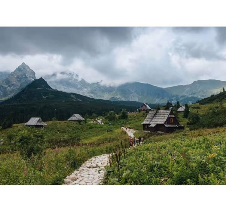 Tapisserie vert maisons en bois dans les tatras - TenStickers