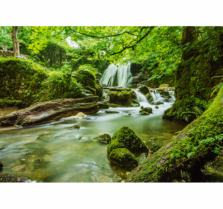 Papier peint cascade paysage jungle - TenStickers