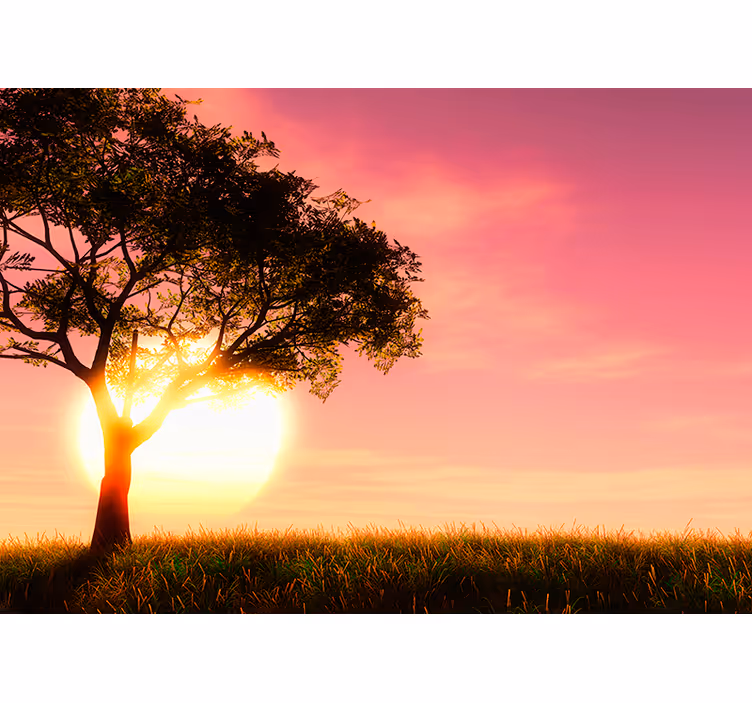 Tapisserie paysage silhouette de coucher de soleil en savane - TenStickers