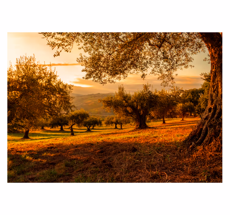 Tapisserie paysage bosquet méditerranéen - TenStickers