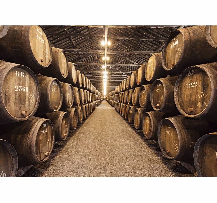 Photo murale Tonneaux de vin - TenStickers
