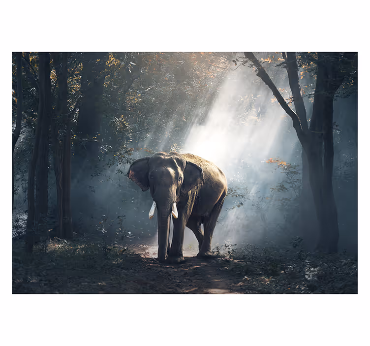 Tapisserie animaux Éléphant majestueux de la forêt - TenStickers