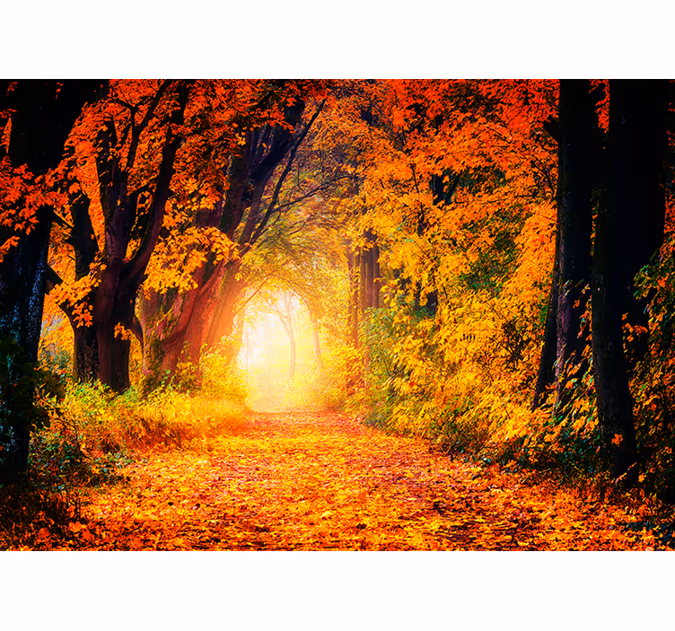 Tapisserie paysage chemin forestier d'automne - TenStickers