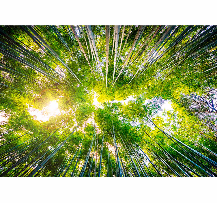 Papier peint forêt paysage jardin oriental - TenStickers