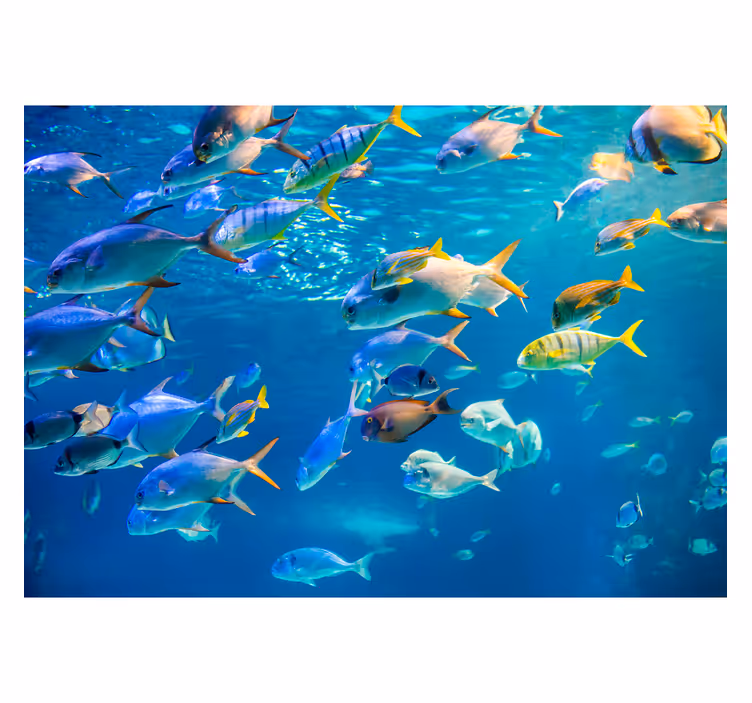 Tapisserie murale poissons nageants dans l'eau - TenStickers