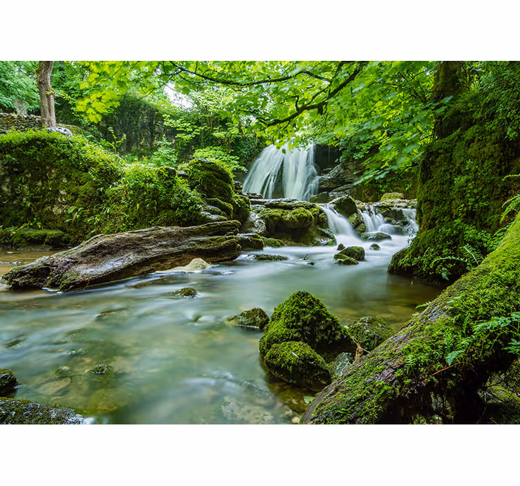 Papier peint salon 3D Forêt avec cascade et rivière - TenStickers