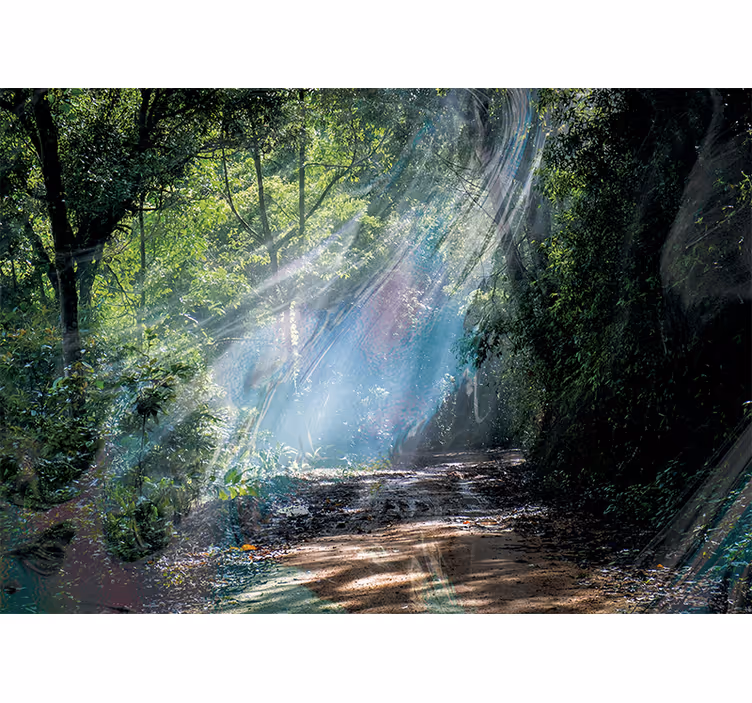Papier peint nature chemin lumineux en forêt - TenStickers