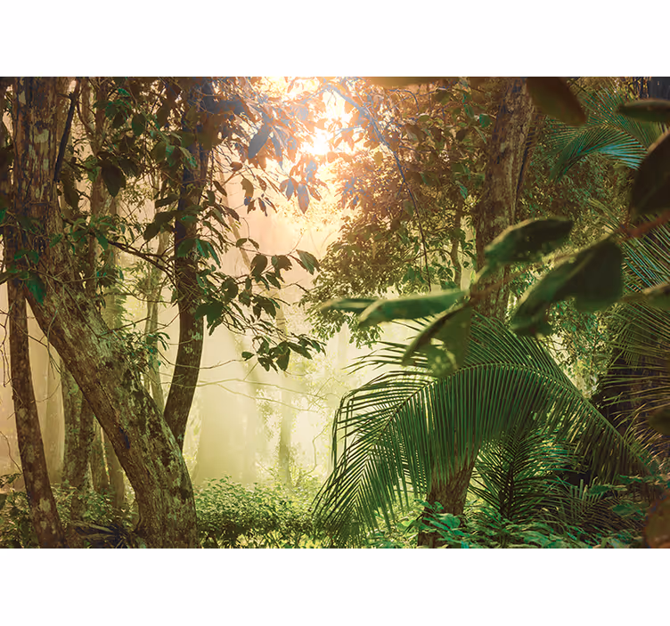 Tapisserie nature vue ensoleillée sur la forêt - TenStickers