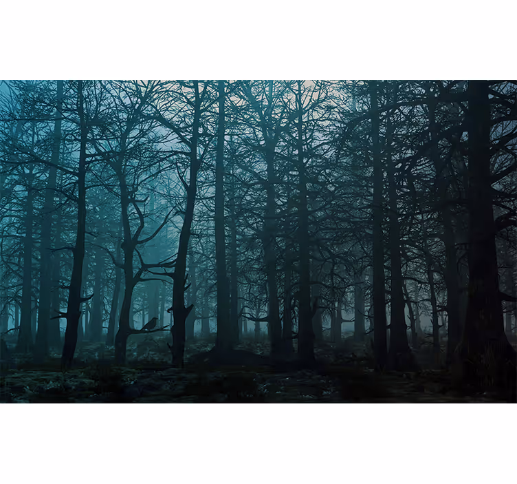 Tapisserie forêt paysage forestier brumeux - TenStickers