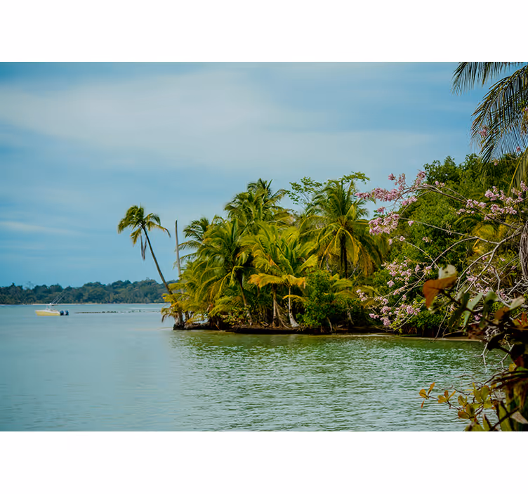 Tapisserie nature oasis insulaire tropicale - TenStickers