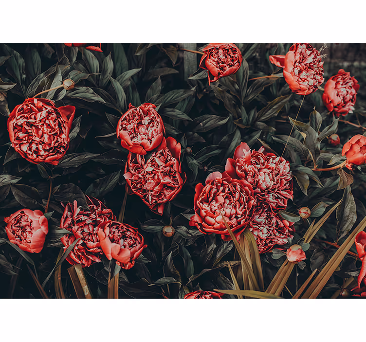 Tapisserie fleur composition florale de pivoines - TenStickers