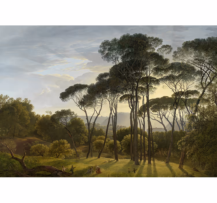 Tapisserie nature rayons de soleil de la forêt - TenStickers