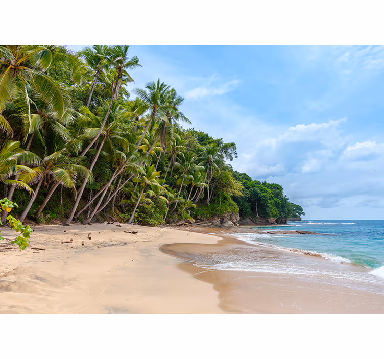 Tapisserie nature oasis de rivage tropical - TenStickers