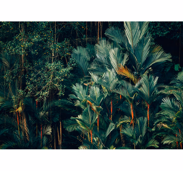 Tapisserie nature feuillage de palmier exotique - TenStickers
