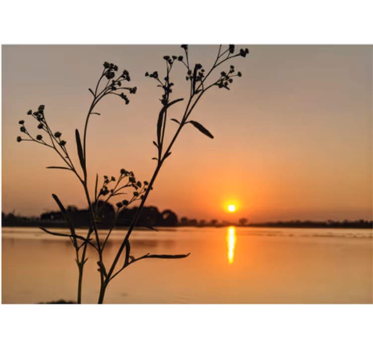 Tapisserie nature silhouette de coucher de soleil en fleurs - TenStickers